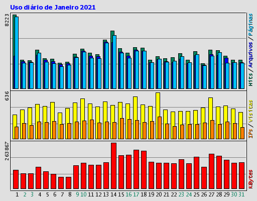 Uso diário de Janeiro 2021